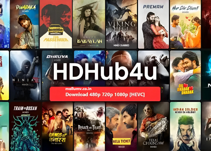 Filmyhub