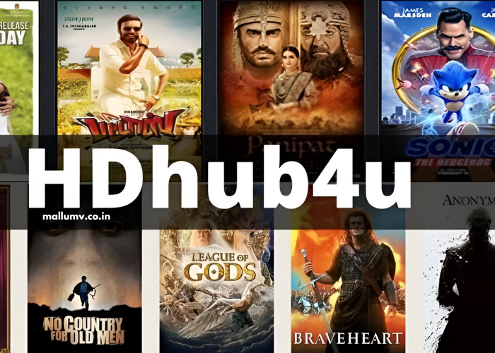 Hd Hub B4u