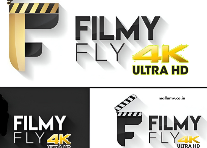 Filmyfly