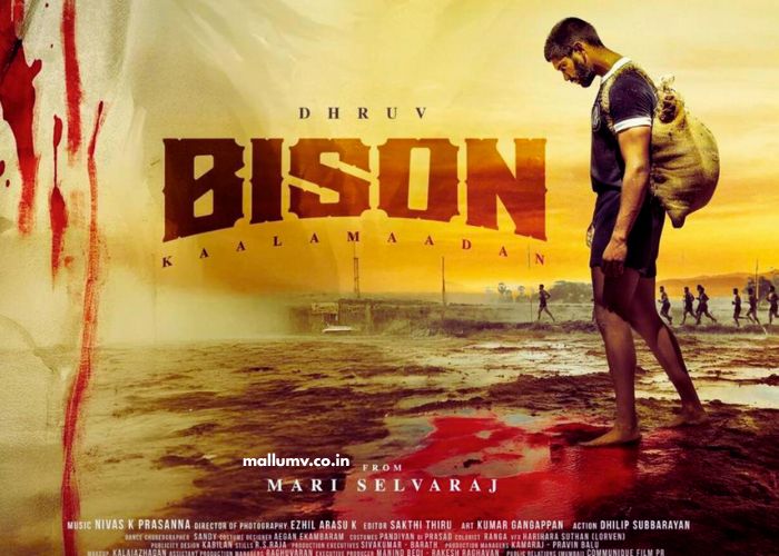 Bison Kaalamaadan (2025)